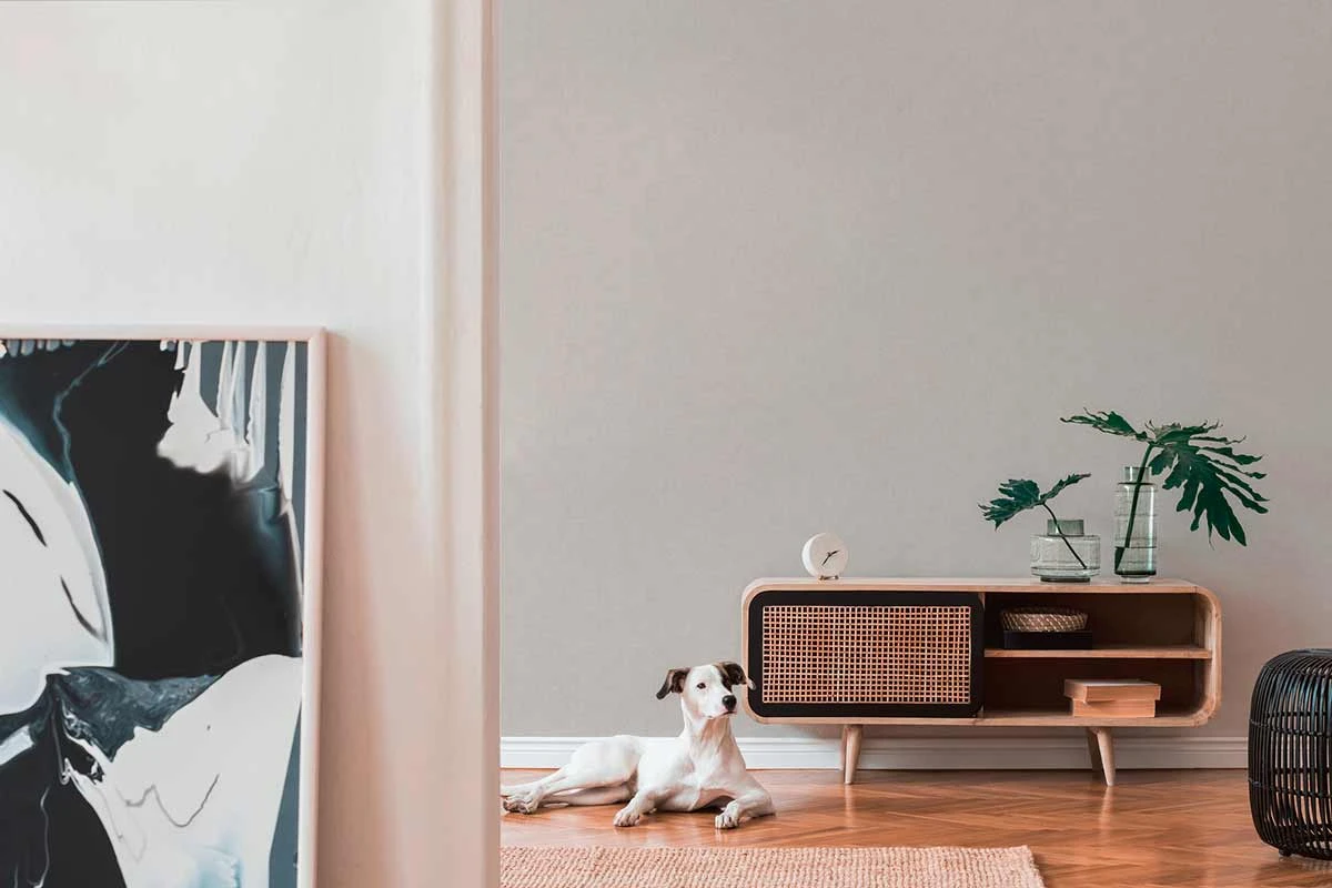 Tapete Vlies Uni Struktur greige Glitzer 38198-1 Tapete Vlies Uni Struktur Greige Glitzer 38198-1 -livingwalls Tapeten Tapete Vlies Uni Struktur greige Glitzer 38198 1 63209715 1